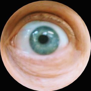 Meet your Posher, Keith